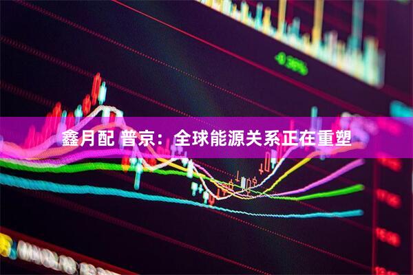鑫月配 普京:全球能源关系正在重塑