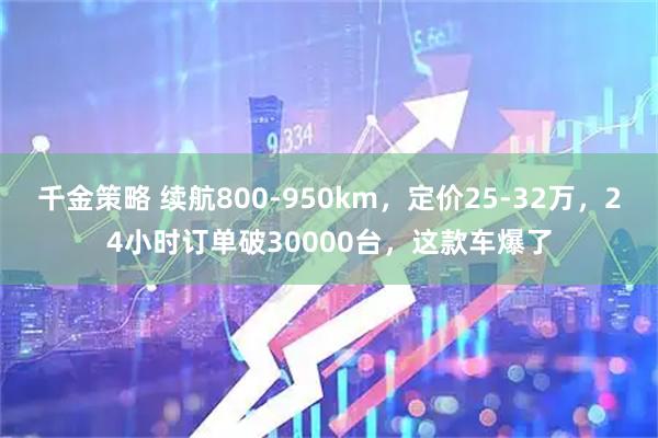 千金策略 续航800-950km，定价25-32万，24小时订单破30000台，这款车爆了
